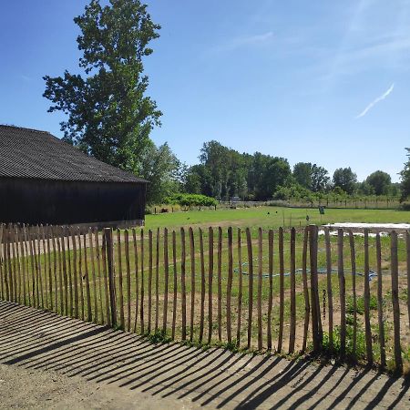 'T Dagwant Villa Geraardsbergen Dış mekan fotoğraf